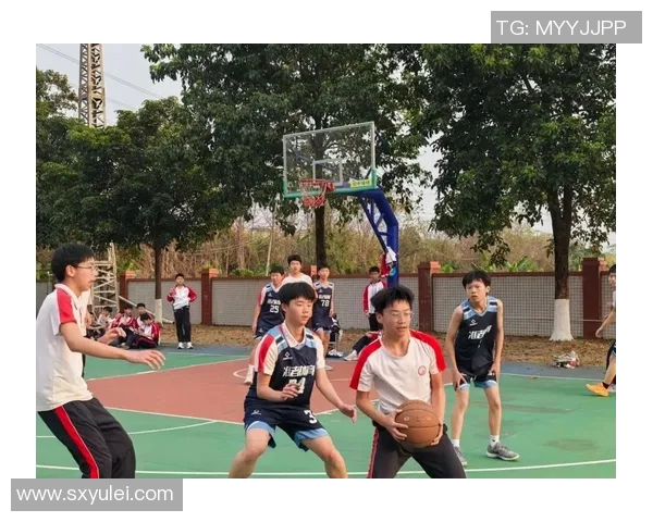 兄弟篮球1：热血青春与友谊交织的赛场传奇故事